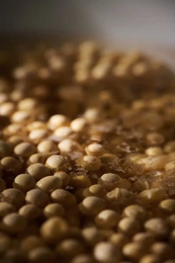 Tofu DIY - Food Photography